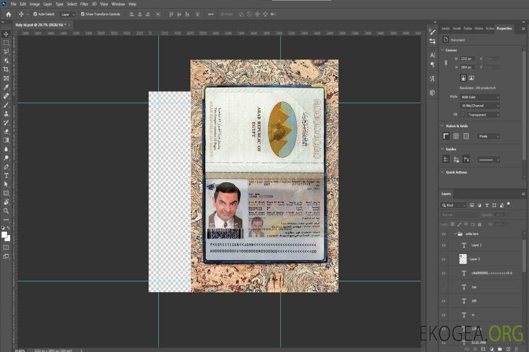Look photo du passeport égyptien template Look photo du passeport égyptien template